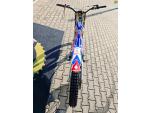 Klikněte pro detailní foto č. 3 - Beta Evo Factory 125 2T