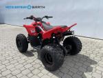 Klikněte pro detailní foto č. 4 - CFMOTO CFMOTO Gladiator X110 LE 