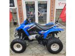 Klikněte pro detailní foto č. 3 - Kymco Maxxer 250, nová STK, najeto pouze 4.721 km, přední nárazník