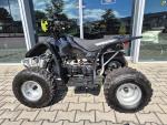 Klikněte pro detailní foto č. 7 - Access Motor DRR 100 se zpátečkou