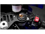 Klikněte pro detailní foto č. 11 - Yamaha YZF-R1