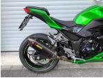Klikněte pro detailní foto č. 10 - Kawasaki Z 300 Akrapovič