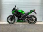 Klikněte pro detailní foto č. 11 - Kawasaki Z 300 Akrapovič