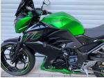 Klikněte pro detailní foto č. 13 - Kawasaki Z 300 Akrapovič