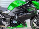 Klikněte pro detailní foto č. 3 - Kawasaki Z 300 Akrapovič