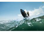 Klikněte pro detailní foto č. 8 - Sea - Doo SPARK TRIXX 1-up iBR 90hp MY26