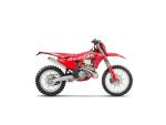 Klikněte pro detailní foto č. 1 - Gas Gas EC 250