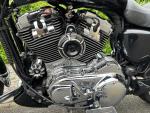 Klikněte pro detailní foto č. 12 - Harley-Davidson XL 1200 C Sportster Custom