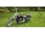 Klikněte pro detailní foto č. 11 - Harley-Davidson FXSTSI Softail Springer