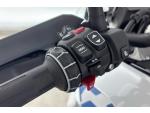 Klikněte pro detailní foto č. 10 - BMW R 1300 GS