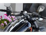 Klikněte pro detailní foto č. 6 - Harley-Davidson FXBR Softail Breakout 117  6.000km