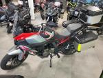 Klikněte pro detailní foto č. 2 - QJ Motor SRT 600 SX