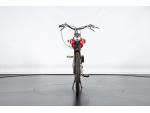 Klikněte pro detailní foto č. 7 - Ducati CUCCIOLO