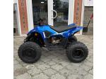 Klikněte pro detailní foto č. 4 - Linhai Dětská čtyřkolka ATV 110 Junior, 5 LET ZÁRUKA, NOVINKA
