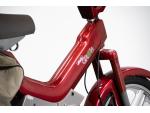 Klikněte pro detailní foto č. 13 - Atala ATALA GREEN LF 2M