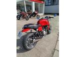 Klikněte pro detailní foto č. 3 - Ducati GT 1000, 1. MAJITEL V ČR, KÁSNÝ STAV, LADĚNÝ VÝFUK