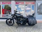 Klikněte pro detailní foto č. 2 - Indian Chief Dark Horse