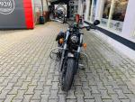 Klikněte pro detailní foto č. 3 - Indian Chief Dark Horse