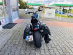 Klikněte pro detailní foto č. 4 - Indian Chief Dark Horse
