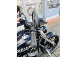 Klikněte pro detailní foto č. 8 - Indian Chief Dark Horse