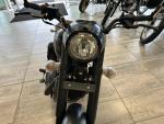 Klikněte pro detailní foto č. 9 - Jawa Perak