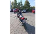 Klikněte pro detailní foto č. 6 - Aprilia Tuareg 660 Rally 2025 - 4 roky záruka