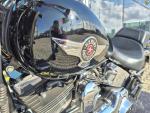 Klikněte pro detailní foto č. 12 - Harley-Davidson FLSTF Fat Boy