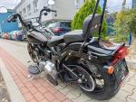 Klikněte pro detailní foto č. 7 - Harley-Davidson FLSTSB Softail Cross Bones