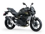 Klikněte pro detailní foto č. 1 - Kawasaki Z 500 2026