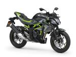 Klikněte pro detailní foto č. 1 - Kawasaki Z 125 2026 ŠEDÁ
