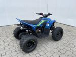 Klikněte pro detailní foto č. 3 - CFMOTO CFMOTO Gladiator X110 LE 