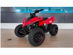 Klikněte pro detailní foto č. 1 - CFMOTO Gladiator X110 LE SKLADEM