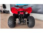 Klikněte pro detailní foto č. 3 - CFMOTO Gladiator X110 LE SKLADEM