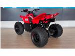 Klikněte pro detailní foto č. 4 - CFMOTO Gladiator X110 LE SKLADEM