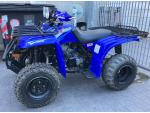Detail nabídky - Yamaha Wolverine 250 (2006)
