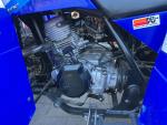 Klikněte pro detailní foto č. 4 - Yamaha Wolverine 250 (2006)