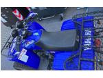 Klikněte pro detailní foto č. 5 - Yamaha Wolverine 250 (2006)