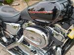 Klikněte pro detailní foto č. 13 - Harley-Davidson XL 1200 C Sportster Custom TOP