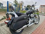 Klikněte pro detailní foto č. 3 - Harley-Davidson XL 1200 C Sportster Custom TOP