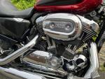 Klikněte pro detailní foto č. 10 - Harley-Davidson XL 1200 C Sportster Custom
