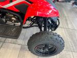 Klikněte pro detailní foto č. 10 - CFMOTO Gladiator X110 LE