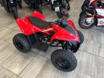 Klikněte pro detailní foto č. 1 - CFMOTO Gladiator X110 LE