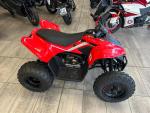 Klikněte pro detailní foto č. 2 - CFMOTO Gladiator X110 LE