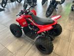 Klikněte pro detailní foto č. 5 - CFMOTO Gladiator X110 LE