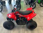 Klikněte pro detailní foto č. 6 - CFMOTO Gladiator X110 LE