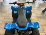 Klikněte pro detailní foto č. 11 - CFMOTO Gladiator X110 LE