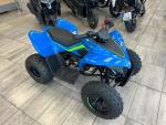 Klikněte pro detailní foto č. 1 - CFMOTO Gladiator X110 LE