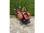 Klikněte pro detailní foto č. 4 - Indian Scout