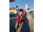Klikněte pro detailní foto č. 3 - Benelli BN 251 - najeto pouze 8826 km