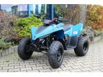 Klikněte pro detailní foto č. 1 - CFMOTO Gladiator X110 LE AKCE